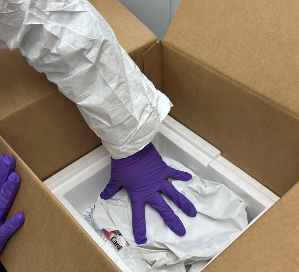 A person wearing purple gloves and putting on a white box