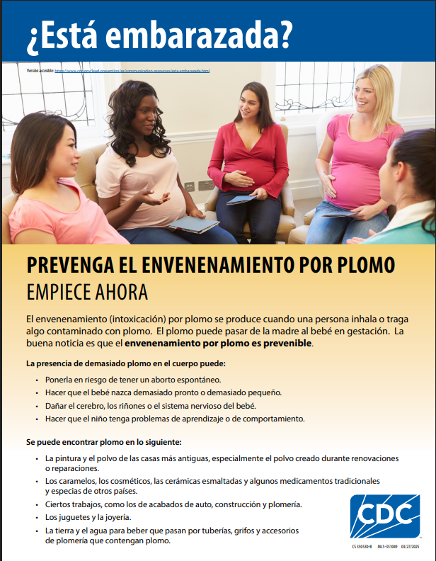 Folleto: ¿Está embarazada?