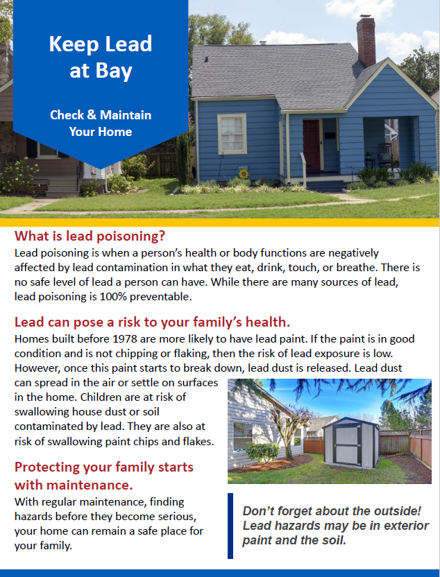 No deje que el plomo dañe su salud