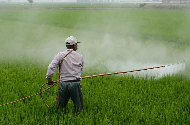 "Farmworker spraying pesticide on a field of crops"