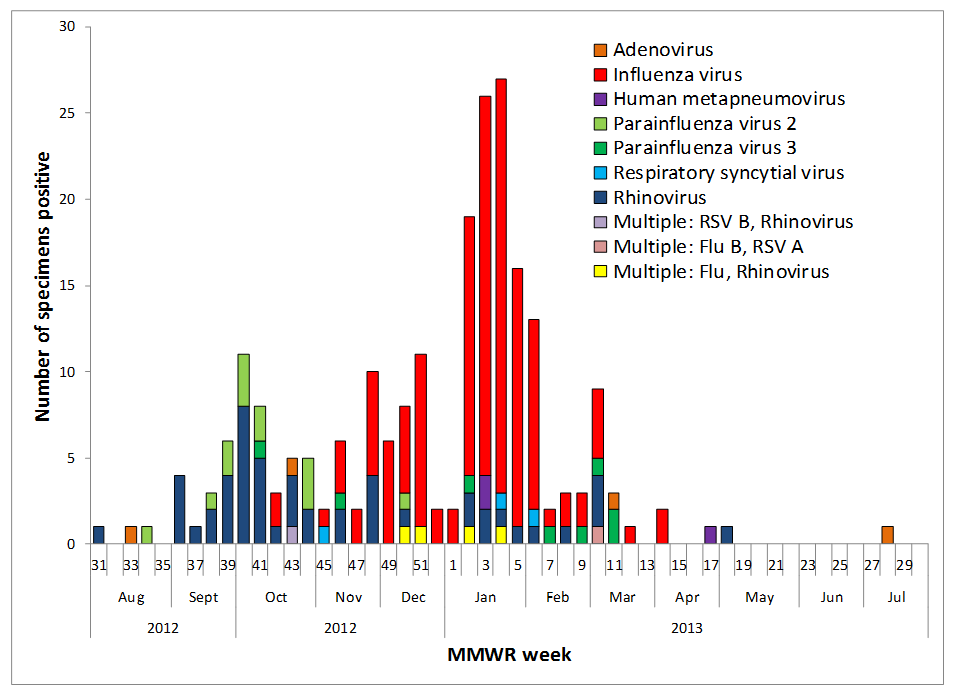 Figure 6.  Respiratory viruses detected through the Influenza Incidence Surveillance Project (IISP), Texas, 2012–13