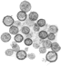 "Hantavirus"