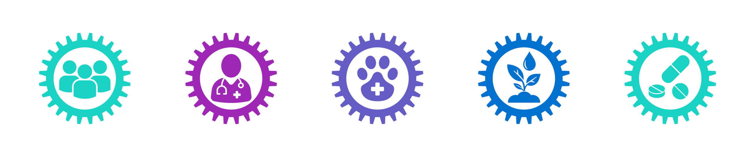 5 colored gears depicting community, animals, healthcare, environment, and prescriptions