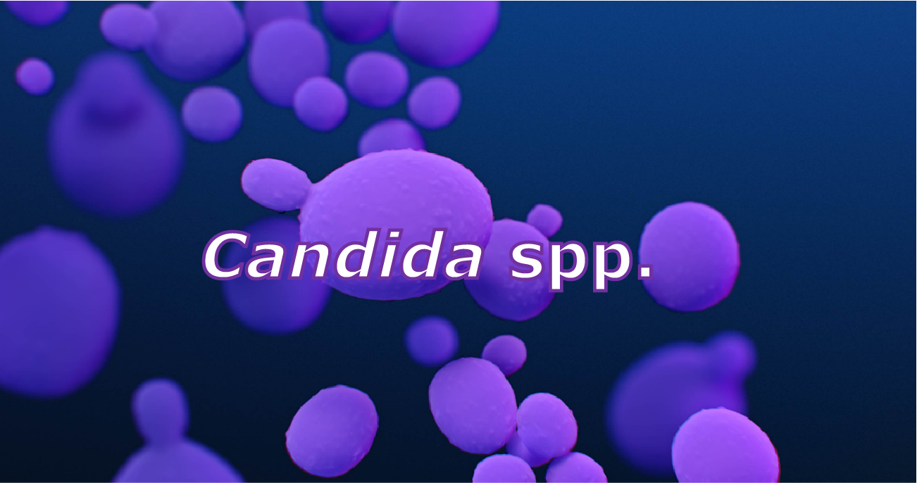 "Candida spp."