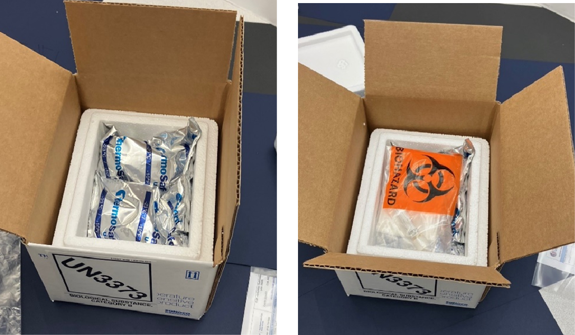 properly packed specimen boxes