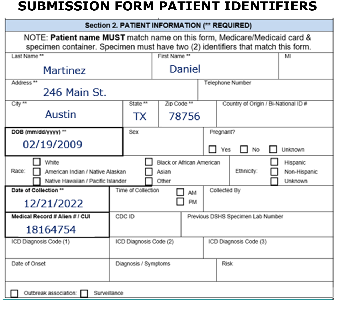 "Screen Shot of the Submission Form Patient Identifiers"