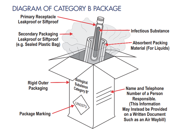 https://www.dshs.texas.gov/sites/default/files/LIDS-LAB-Microbio/The%20secondary%20receptacle%20for%20a%20category%20B%20package%20may%20be%20a%20rigid%20canister%20or%20a%20resealable%20plastic%20bag.%20.png