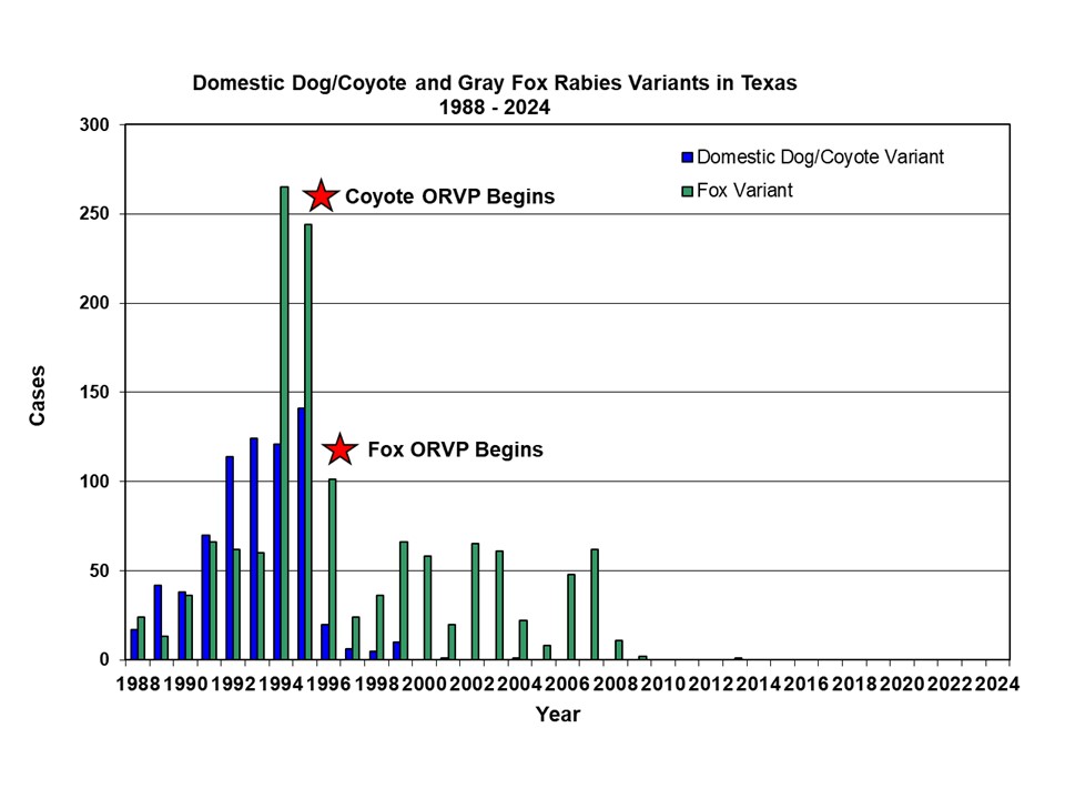 Line graph showing the Domestic Dog/Coyote and Gray Fox Rabies Variants in Texas (1988-2024)