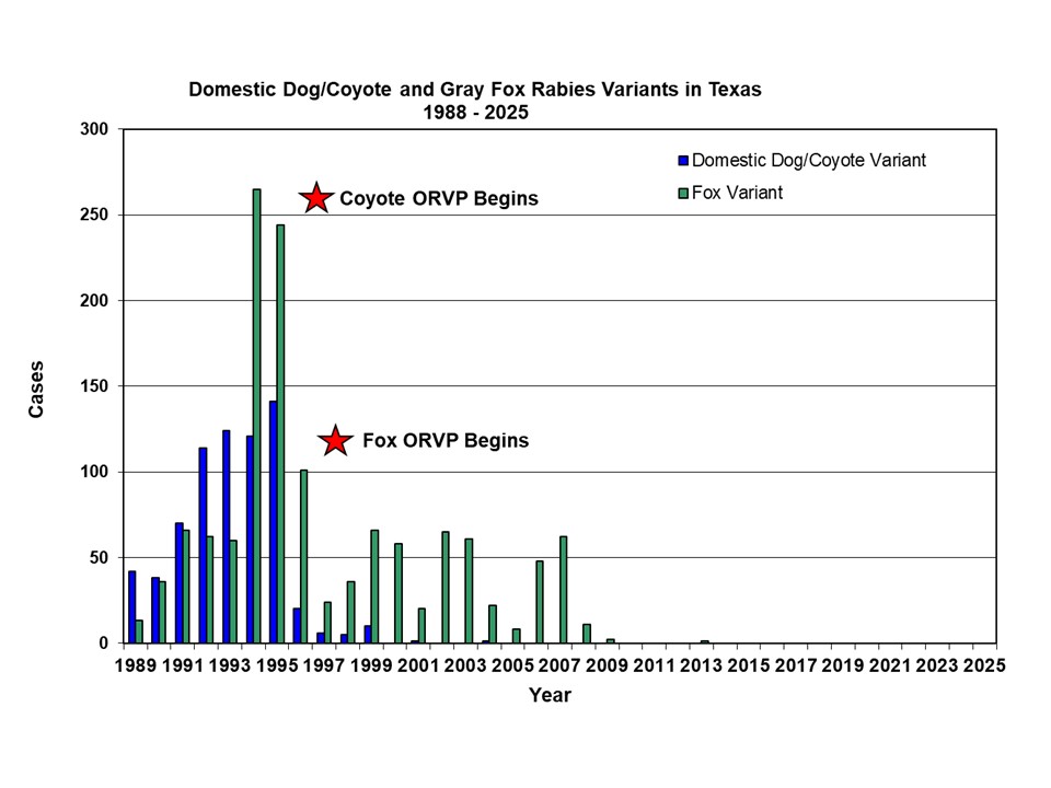 Line graph showing the Domestic Dog/Coyote and Gray Fox Rabies Variants in Texas (1988-2024)