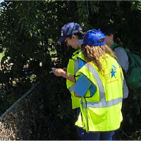 people with reflective vests