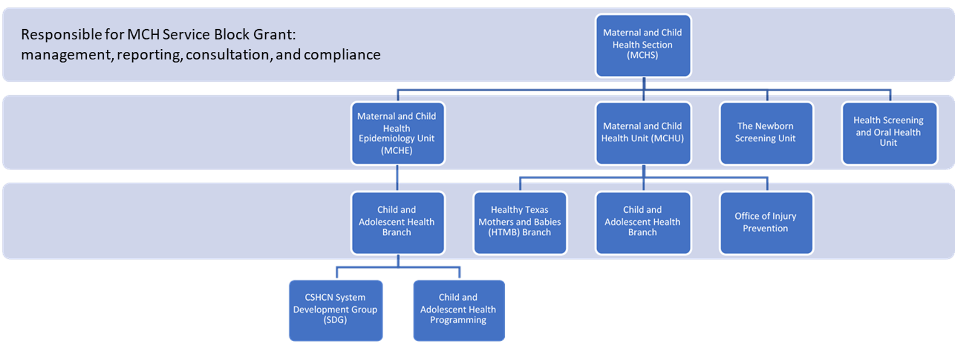 Flow chart of responsibilities for MCH Services.