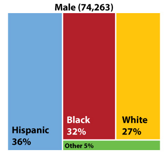 Figure 2: Texans living with HIV by race/ethnicity and sex at birth, 2018 II