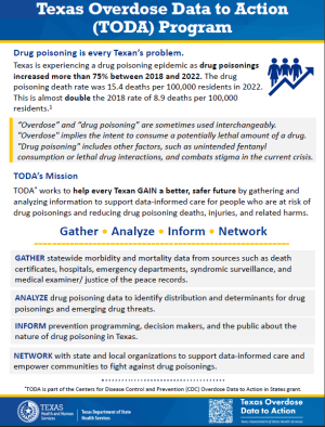 Screenshot of TODA Overview Document