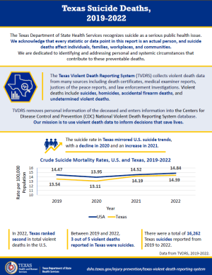 TVDRS Suicide Data Brief Screenshot