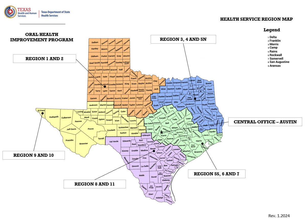 Health Service Region Map of Texas made by DSHS, Oral Health Improvement Program. Central Office (Austin), Regions 1 and 2 (Texas Panhandle), Regions 3, 4, and 5 North (North and East Texas), Regions 5 South, 6, and 7 (Central Texas), Regions 8 and 11 (South Texas), and Regions 9 and 10 (West Texas) labeled on colored map. Revised 2024.