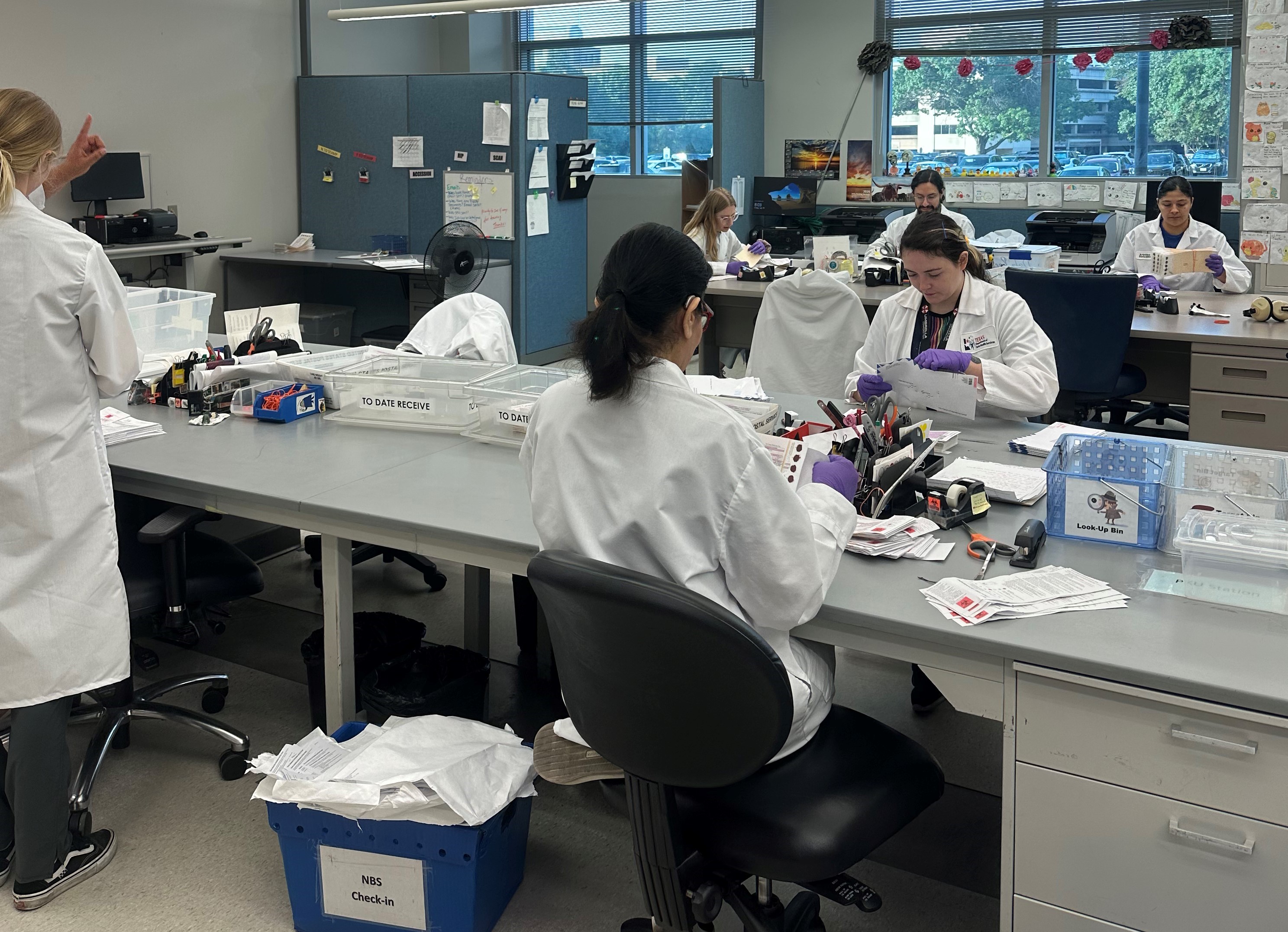 NBS personnel sorting