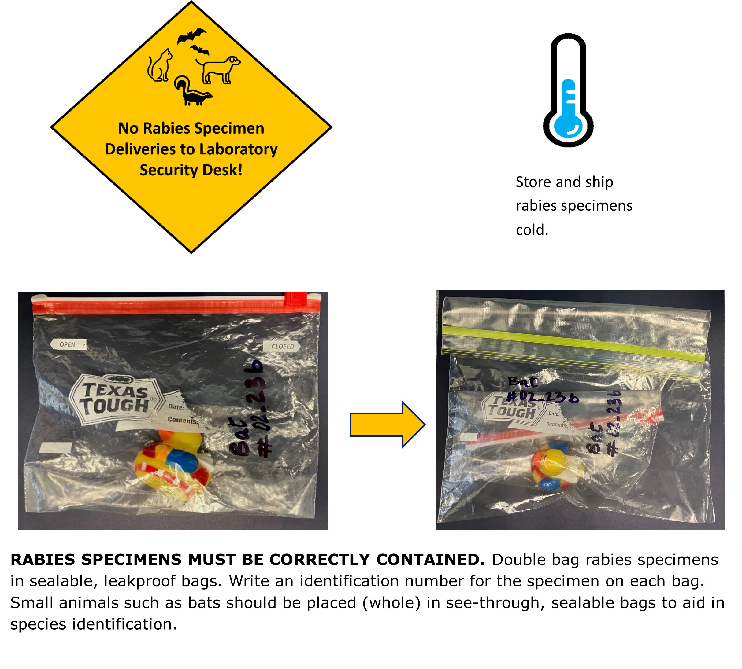 A yellow sign with black text that says "No Rabies Specimen Deliveries to Laboratory Security Desk!"