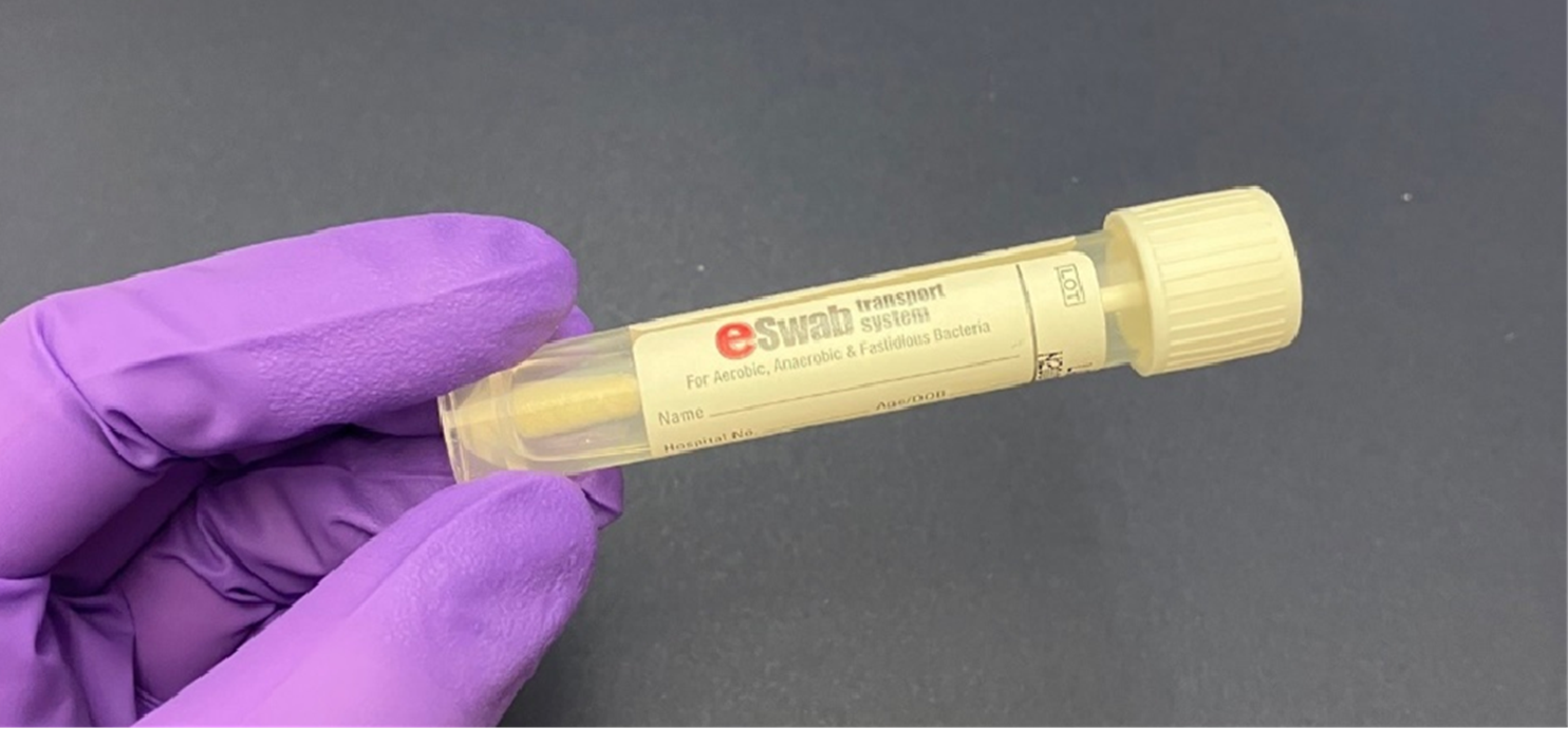 "Equipment and Materials Needed  Swabs for C. auris testing are temperature sensitive and must be shipped within one day of collection at refrigeration temperatures, 2°C–8°C (36°F–46°F). 1. Shipping Materials must be compliant with Category B Biological Substance, UN3373 shipping requirements.  a. Sturdy cardboard shipping box  b. Insulated shipping box that fits snugly inside the cardboard box  c. Clear, sealable biohazard specimen transport bag   o The biohazard bag must have enough absorbent material inside to absorb leaks in their entirety d. Refrigerant such as ice packs (do not use dry ice) e. Absorbent packing materials  f. Sealable plastic bag to protect paperwork   2. Place one ESwabTM tube into each clear sealable plastic biohazard specimen transport bag with an absorbent pad.  Firmly seal the biohazard bag."