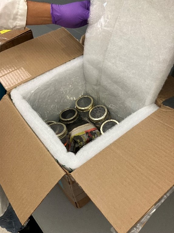 A cardboard box with a few bottles inside