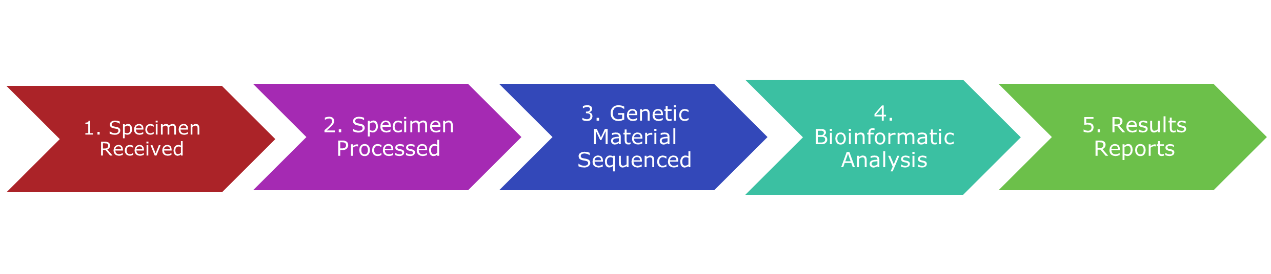 A graphic that shows the 5 step linear process