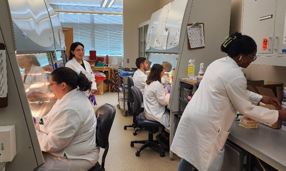 Lab personnel under lab hoods.
