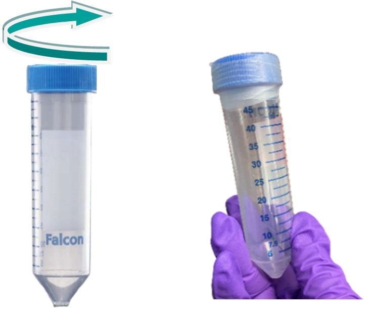 A plastic specimen collection (primary) tube with a blue lid  