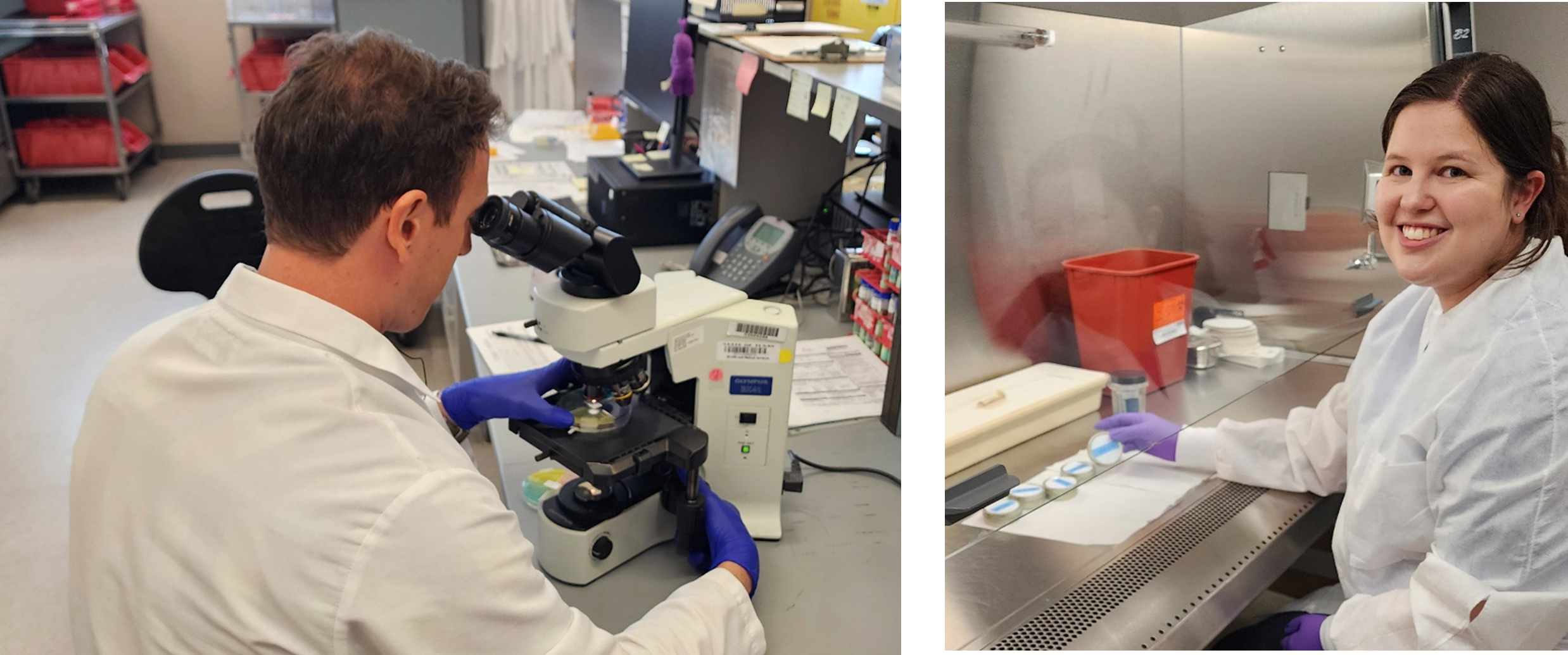 A person in a lab coat and gloves sits next to a biosafety cabinet 