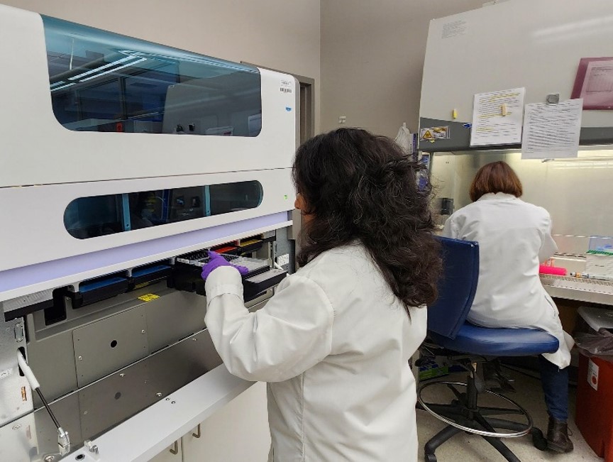 Laboratorian loading test plates.