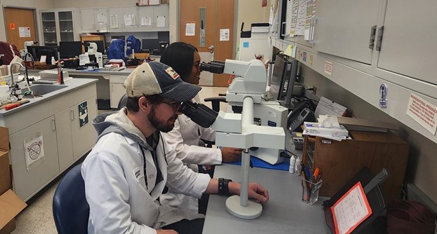 Observing slides under a microscope together. Photo by DSHS, 2024