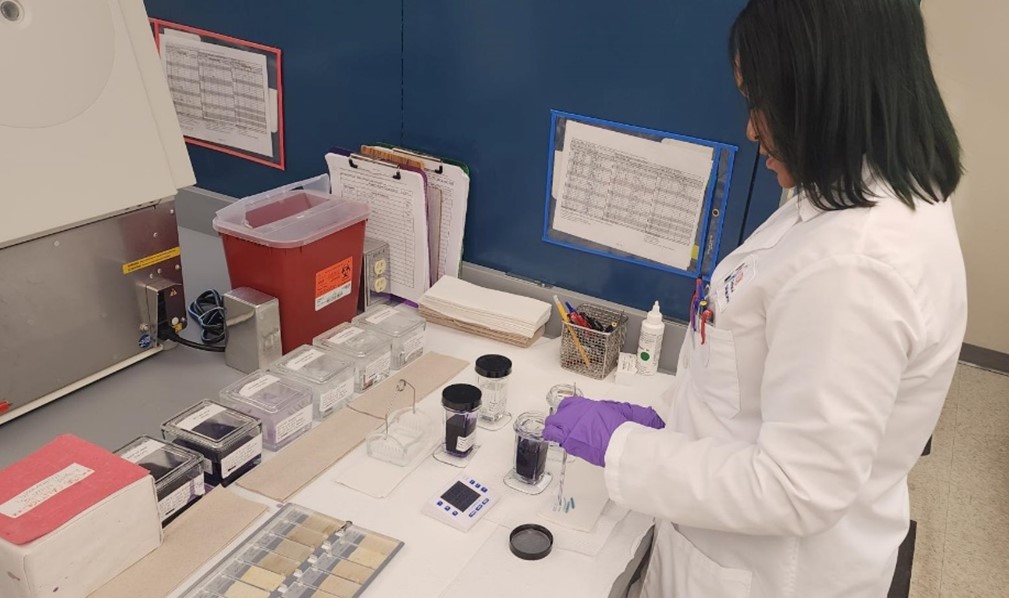 Preparing washes for slide staining. 