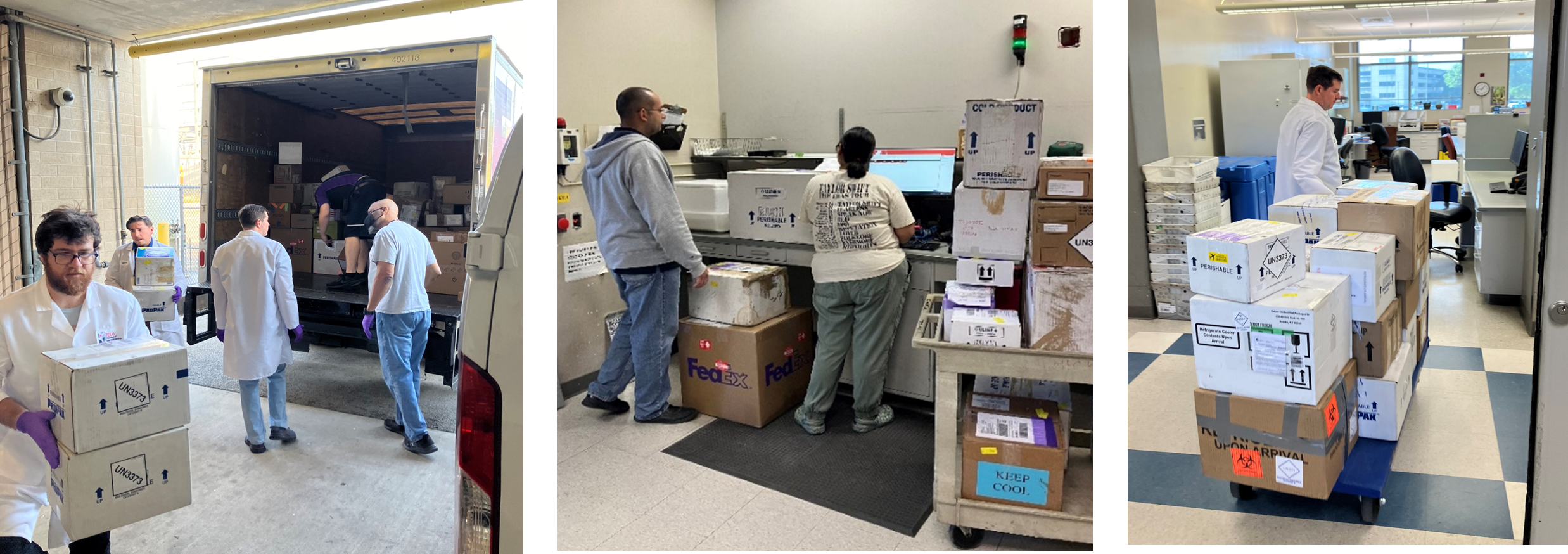 Several people unloading specimen boxes from the back of a delivery truck. Delivery truck is backed up to a delivery bay.