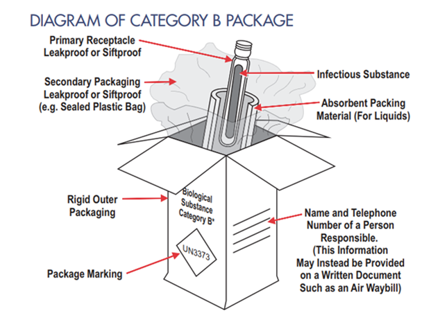 A black-line graphic example of a suitable primary, secondary and outer containers for shipping a Category B infectious substance.  