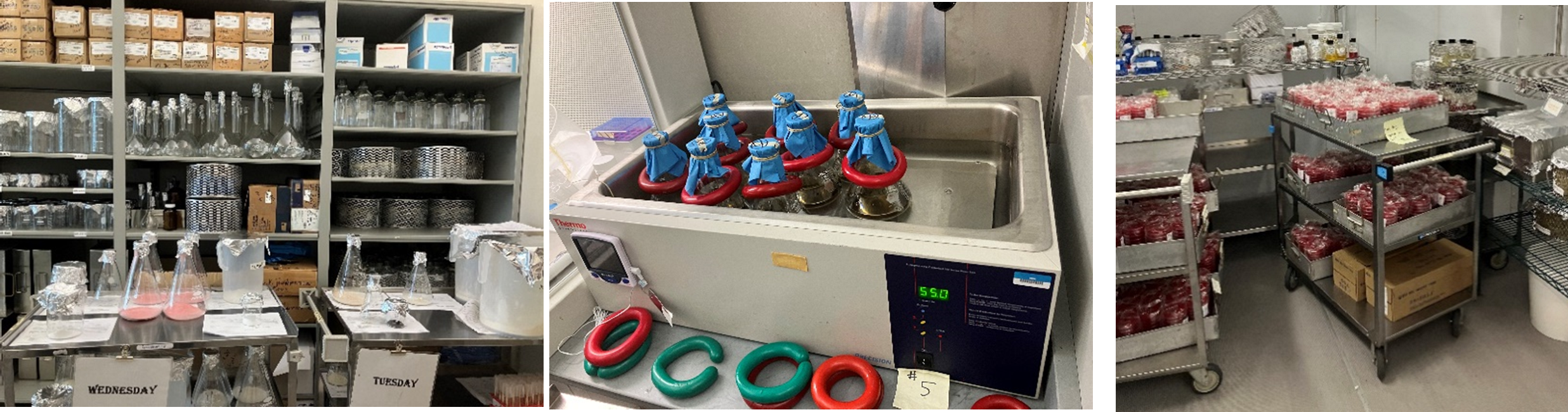 Various stages of media development, from preparation to storage. Photo by DSHS Lab, 2024.