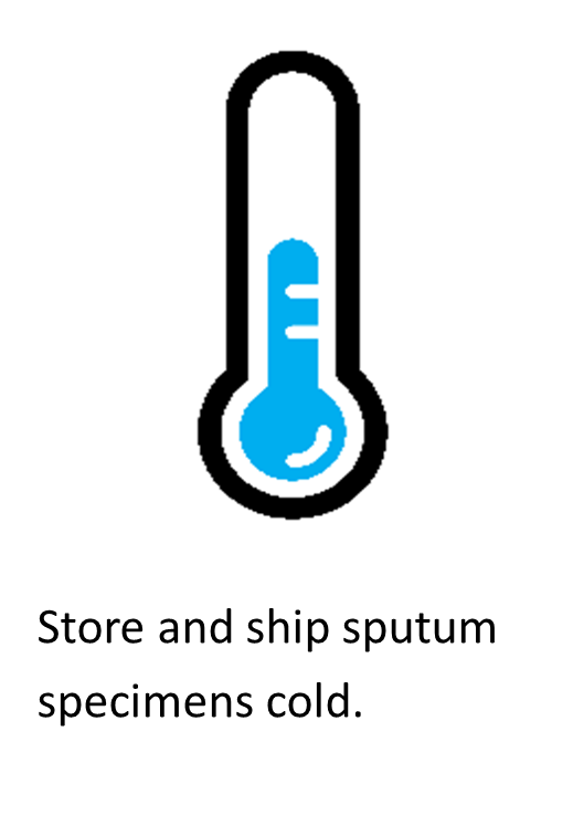 Store and Ship sputum specimens cold