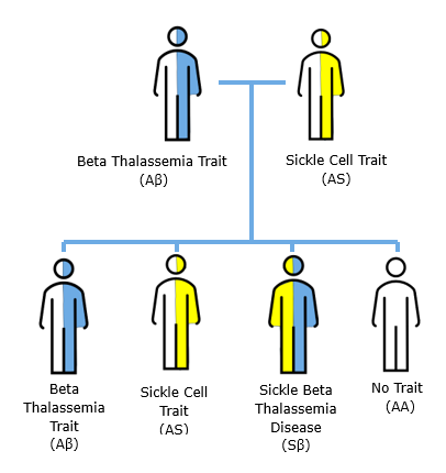 Genogram diagram 2025