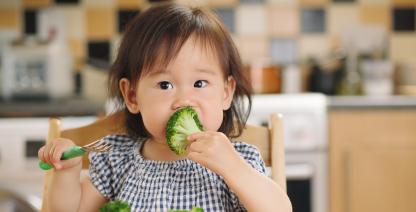 Toddler eating broccoli.