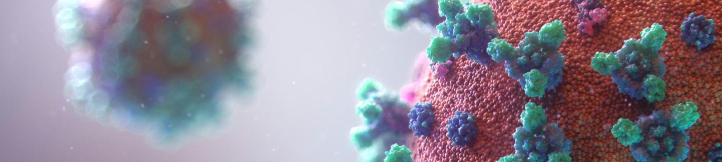 virus