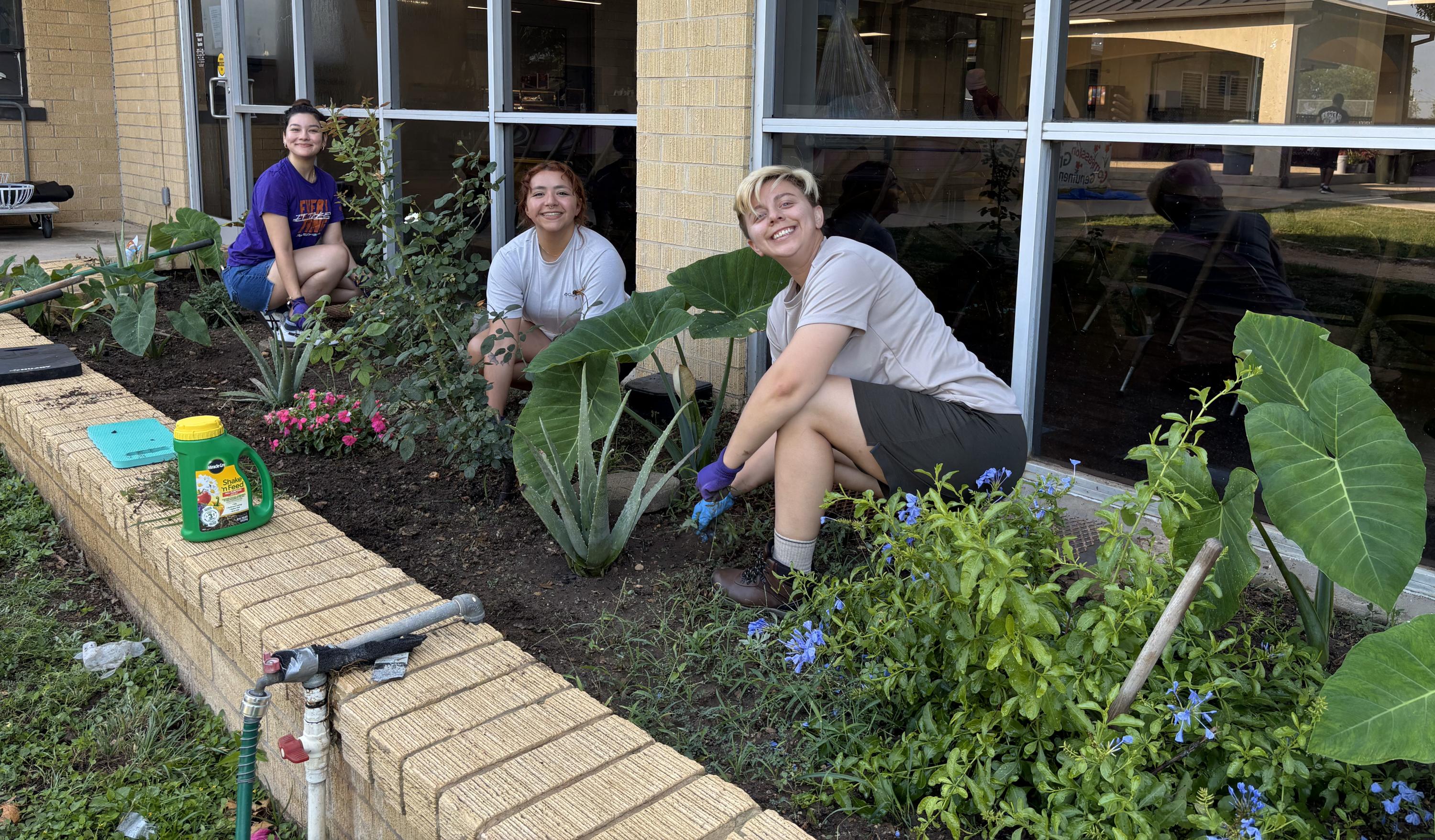 Tres personas colocando plantas en la tierra frente a un edificio.