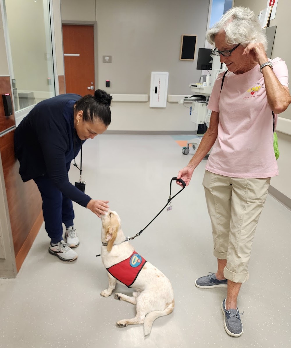 A therapy dog in a red vest is petted by a woman in blue, while another woman holds the leash in a clinical setting.