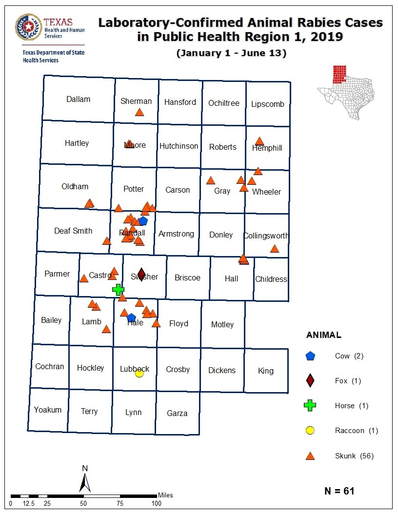 PHR1-2019_Rabies_Map