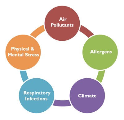 Asthma Triggers Image List