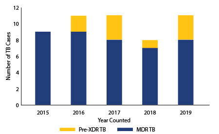 Figure 5. Number of Multidrug-resistant TB and Pre-XDR Cases, Texas, 2015-2019. 2015, MDR 9, Pre-XDR 0; 2016, MDR 9, Pre-XDR 2; 2017, MDR 8, Pre-XDR 3; 2018, MDR 7, Pre-XDR 1; 2019, MDR 8, Pre-XDR 3.