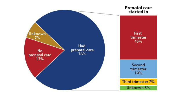 Figure 14: Prenatal care in mothers who delivered an infant with CS, Texas 2018. Had prenatal care %76%, No prenatal care 17%, Unknown 7%. Of those with prenatal care, prenatal care started in: First trimester 45%, Second trimester 19%, Third trimester 7%, Unknown 5%.
