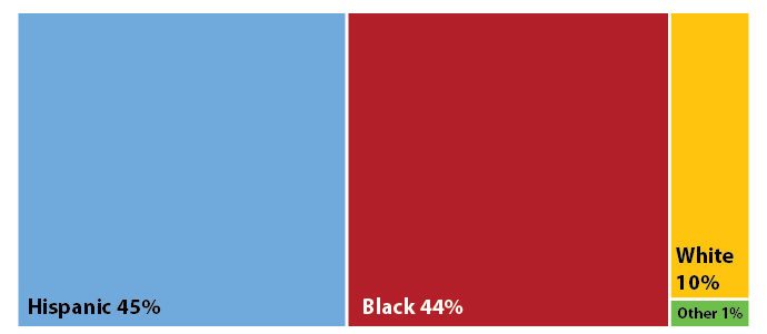 Figure 9: Percentage CS cases by the race/ethnicity of the mother, Texas 2018. Hispanic 45%, Black 44%, White 10%, Other 1%.