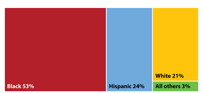 Figure 22:  Race/ethnicity of 25-44-year-olds in Texas with HIV as the cause of death, 2016