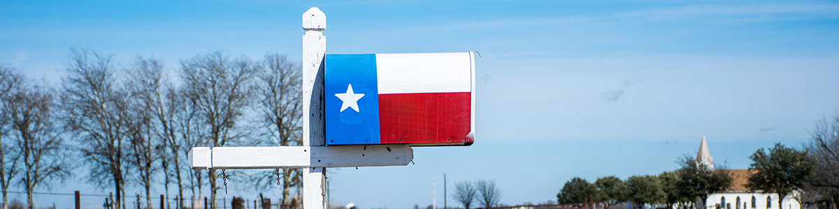 Mailbox painted with a Texas flag.