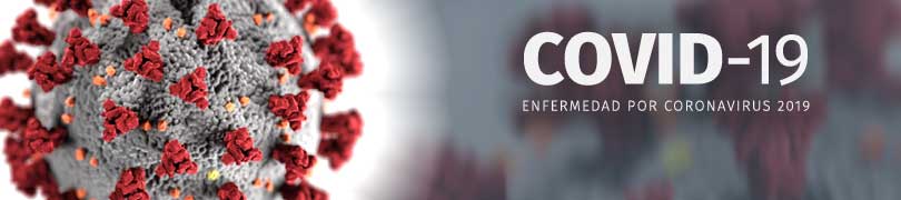 Ejemplo de coronavirus visto al microscopio