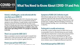 thumbnail of COVID-19 and Pets - English