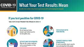 thumbnail of What Your Test Results Mean - English