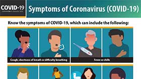 thumbnail of Symptoms of Coronavirus - English